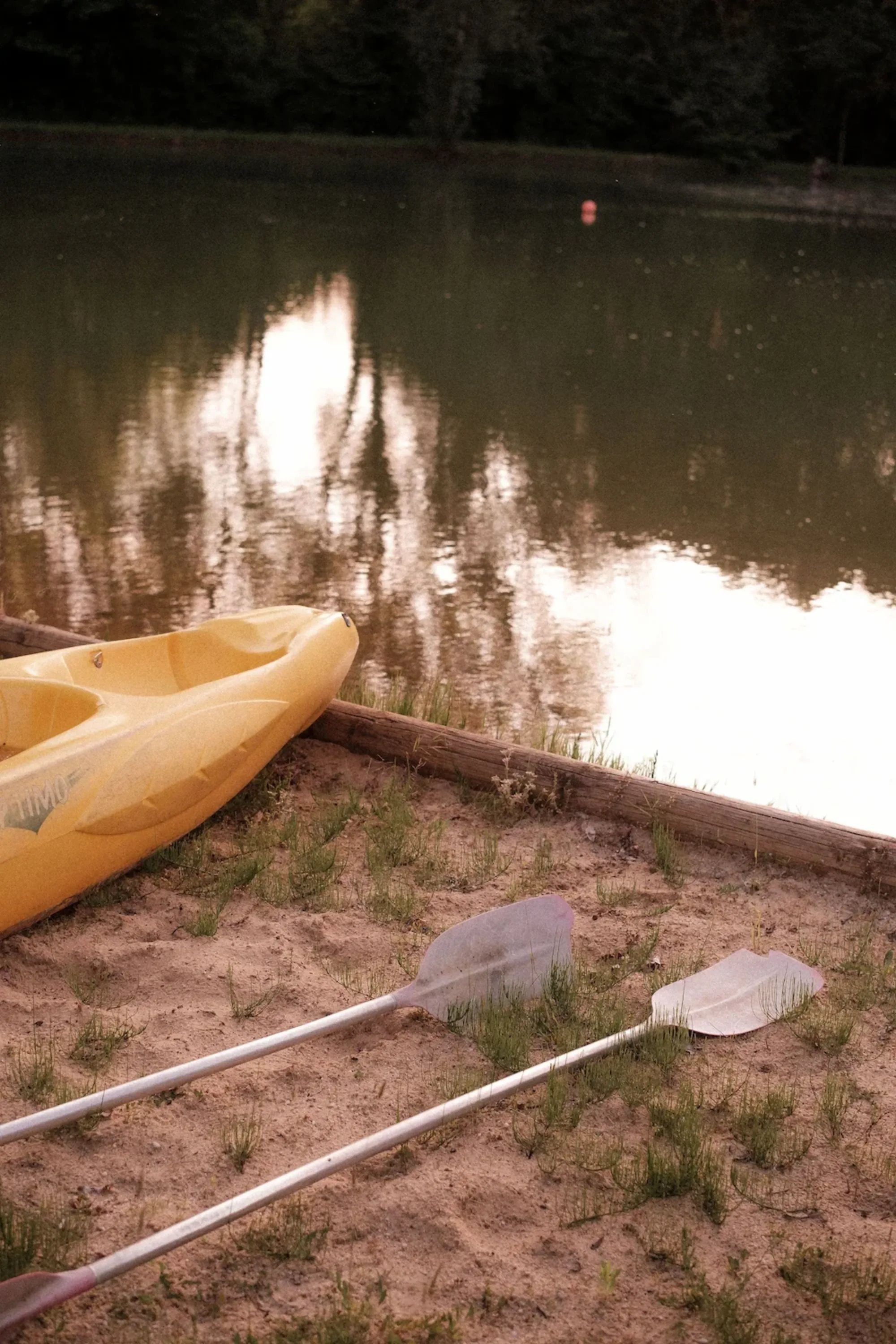 Balade en canoë sur la Dordogne : suivez le rythme paisible de la rivière