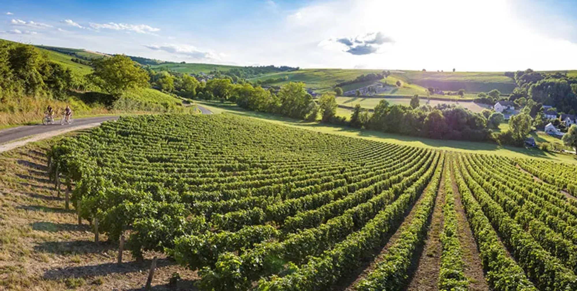 Les vins du Val de Loire