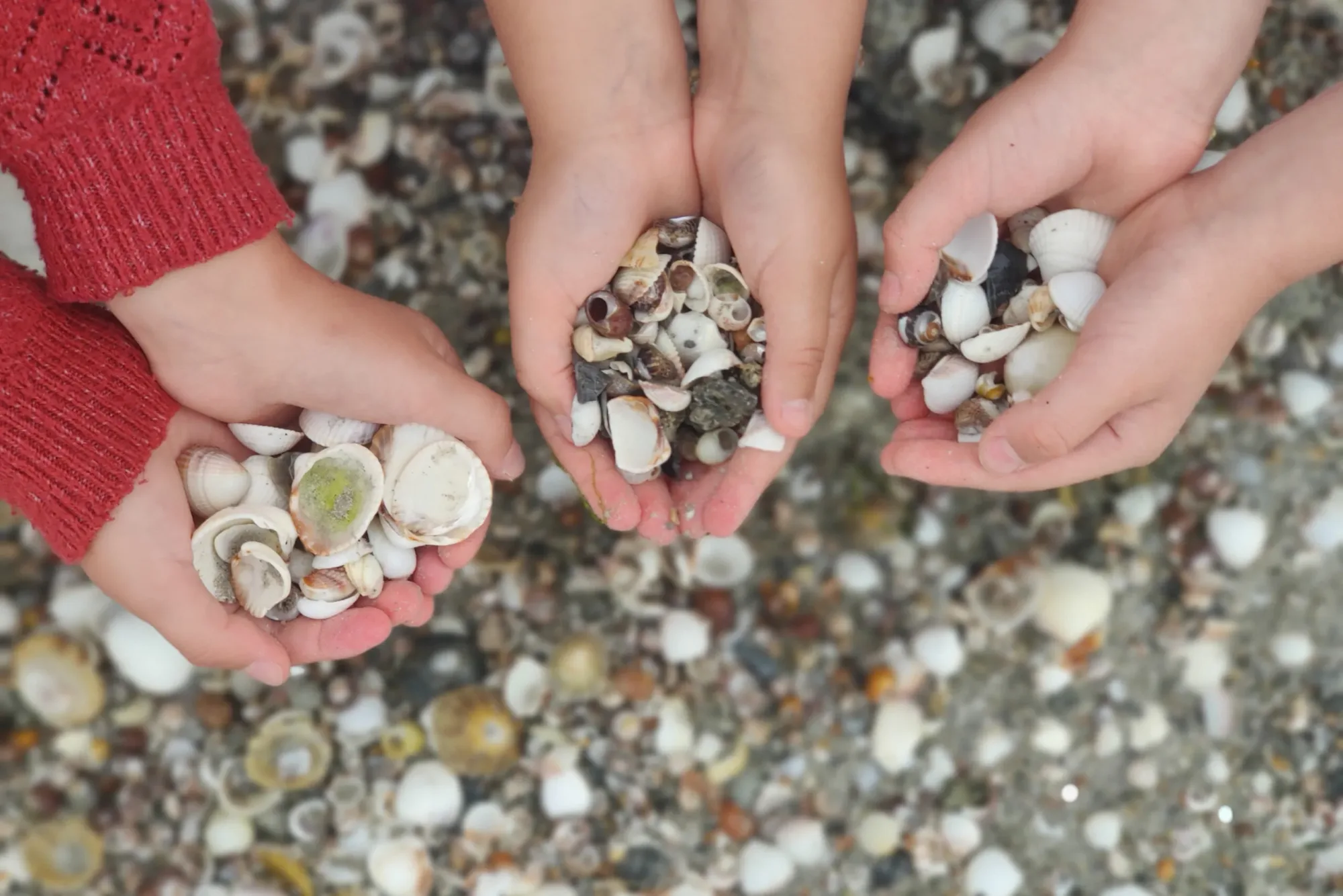 Les coins de pêche à pied en Finistère nord