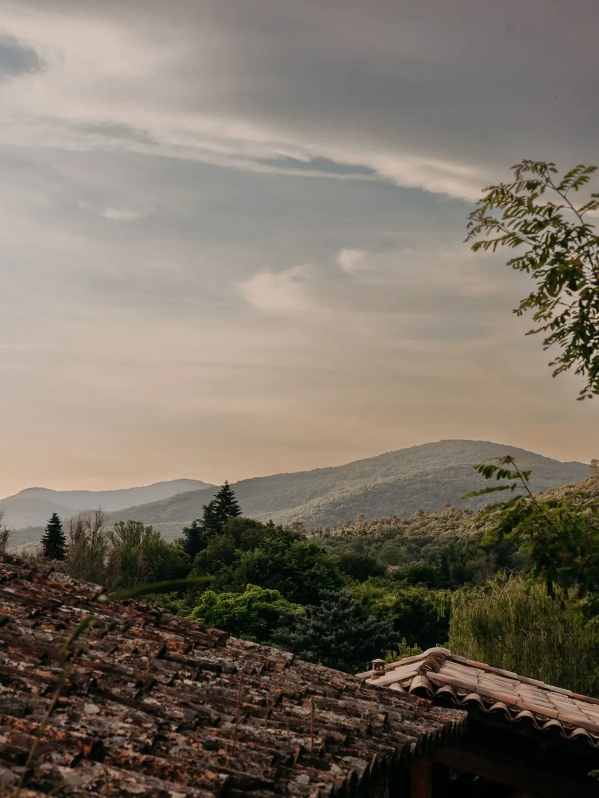 Una pausa nelle Cévennes: cosa fare ad Anduze?