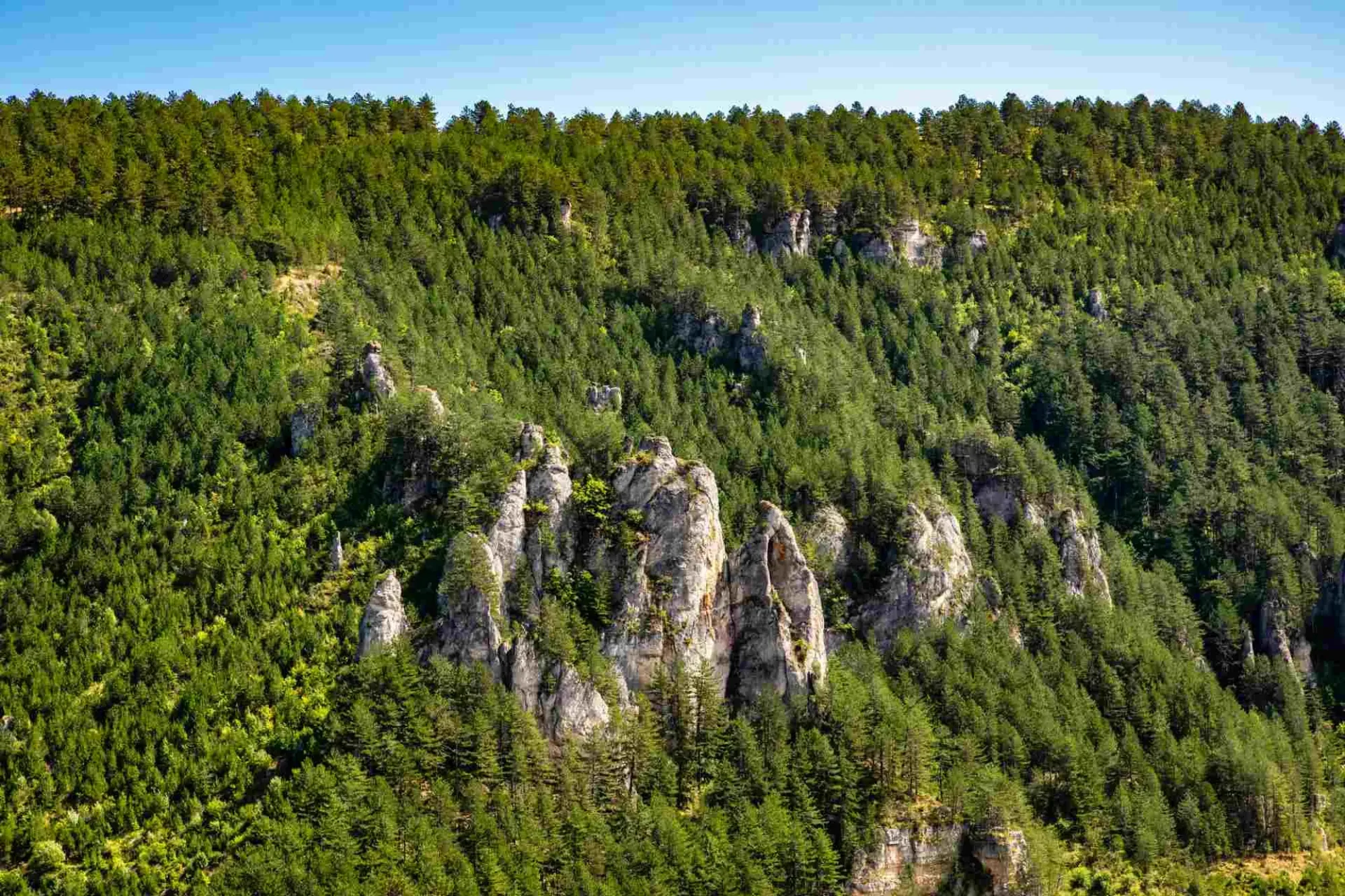 Grotte de Trabuc : un trésor des Cévennes entre nature et découverte